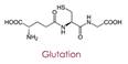 glutation molekula